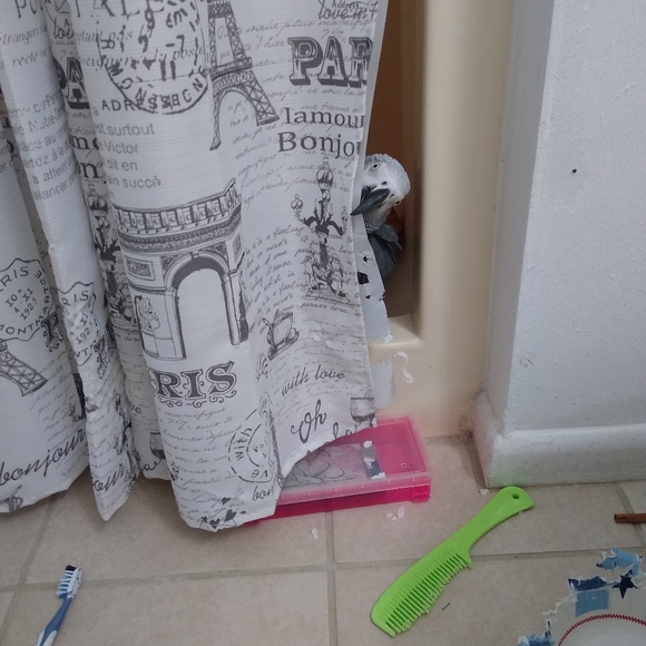 Meet your Posher, Dawn - Picture 2 of 14